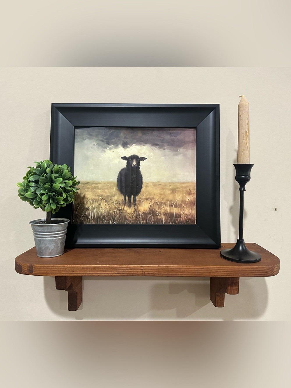 Wooden Wall Display Shelf
